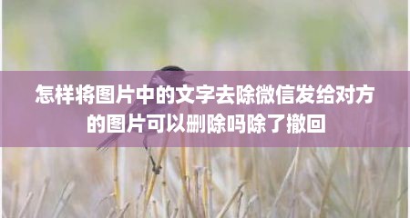 怎样将图片中的文字去除微信发给对方的图片可以删除吗除了撤回