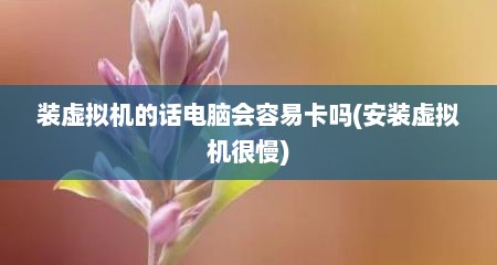装虚拟机的话电脑会容易卡吗(安装虚拟机很慢)