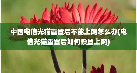 中国电信光猫重置后不能上网怎么办(电信光猫重置后如何设置上网)