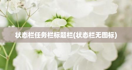 状态栏任务栏标题栏(状态栏无图标)