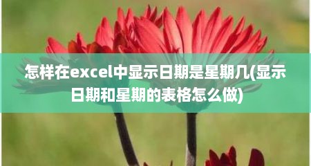怎样在excel中显示日期是星期几(显示日期和星期的表格怎么做)