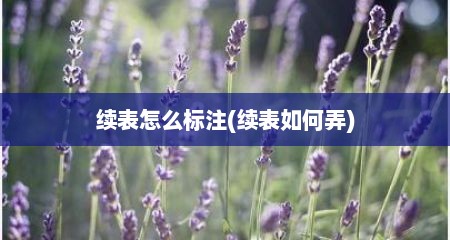 续表怎么标注(续表如何弄)