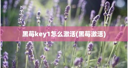黑莓key1怎么激活(黑莓激活)