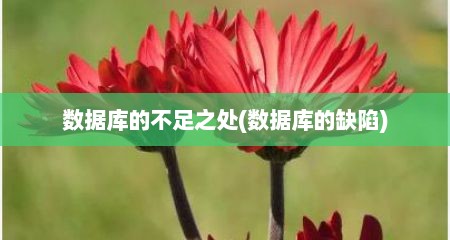 数据库的不足之处(数据库的缺陷)
