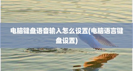 电脑键盘语音输入怎么设置(电脑语言键盘设置)