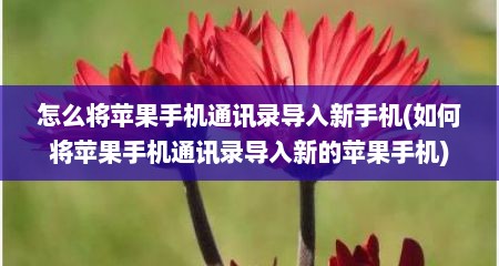 怎么将苹果手机通讯录导入新手机(如何将苹果手机通讯录导入新的苹果手机)