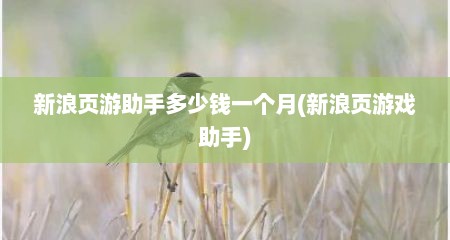 新浪页游助手多少钱一个月(新浪页游戏助手)