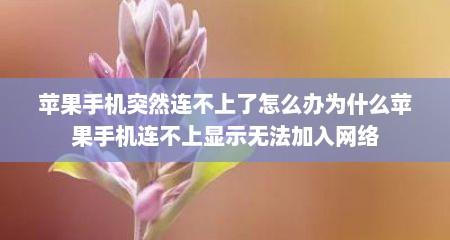 苹果手机突然连不上了怎么办为什么苹果手机连不上显示无法加入网络