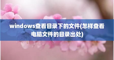 windows查看目录下的文件(怎样查看电脑文件的目录出处)