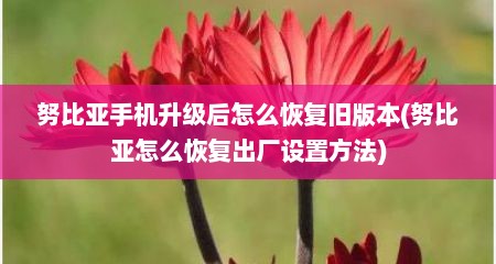 努比亚手机升级后怎么恢复旧版本(努比亚怎么恢复出厂设置方法)