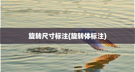 旋转尺寸标注(旋转体标注)