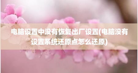 电脑设置中没有恢复出厂设置(电脑没有设置系统还原点怎么还原)
