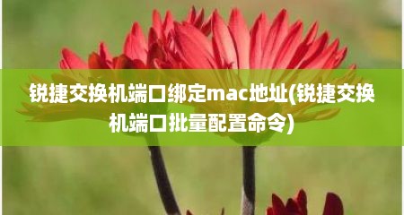 锐捷交换机端口绑定mac地址(锐捷交换机端口批量配置命令)