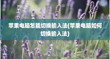 苹果电脑怎能切换输入法(苹果电脑如何切换输入法)