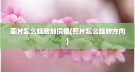 图片怎么旋转加镜像(照片怎么旋转方向)