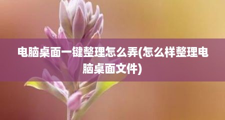 电脑桌面一键整理怎么弄(怎么样整理电脑桌面文件)