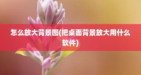 怎么放大背景图(把桌面背景放大用什么软件)