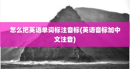 怎么把英语单词标注音标(英语音标加中文注音)