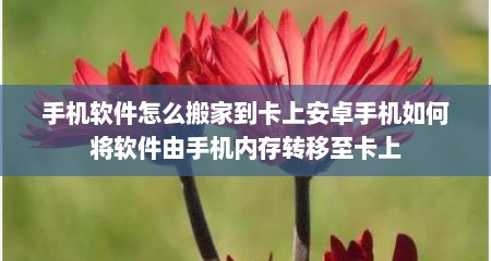 手机软件怎么搬家到卡上安卓手机如何将软件由手机内存转移至卡上