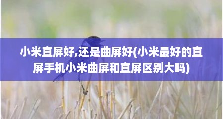 小米直屏好,还是曲屏好(小米最好的直屏手机小米曲屏和直屏区别大吗)