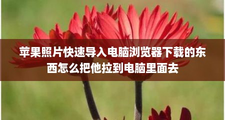 苹果照片快速导入电脑浏览器下载的东西怎么把他拉到电脑里面去