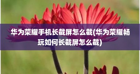 华为荣耀手机长截屏怎么截(华为荣耀畅玩如何长截屏怎么截)