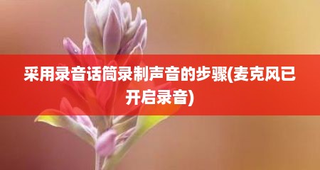采用录音话筒录制声音的步骤(麦克风已开启录音)