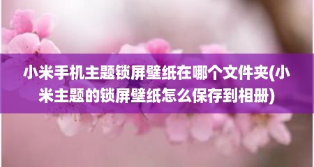 小米手机主题锁屏壁纸在哪个文件夹(小米主题的锁屏壁纸怎么保存到相册)