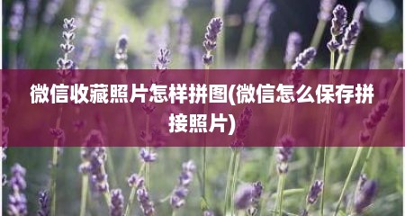微信收藏照片怎样拼图(微信怎么保存拼接照片)