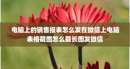 电脑上的销售报表怎么发在微信上电脑表格截图怎么截长图发微信
