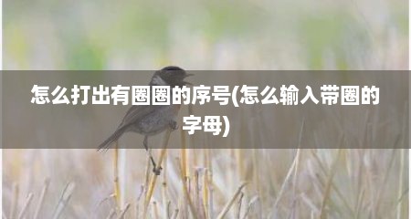 怎么打出有圈圈的序号(怎么输入带圈的字母)