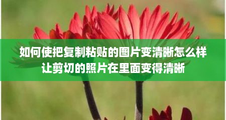 如何使把复制粘贴的图片变清晰怎么样让剪切的照片在里面变得清晰