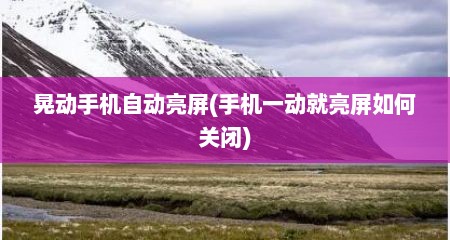 晃动手机自动亮屏(手机一动就亮屏如何关闭)