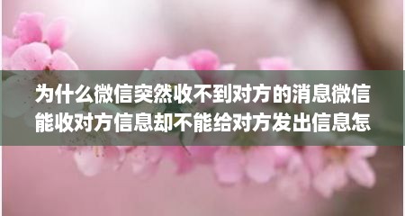 为什么微信突然收不到对方的消息微信能收对方信息却不能给对方发出信息怎么回事