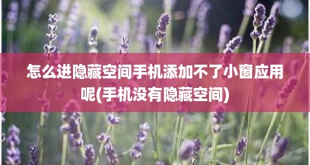 怎么进隐藏空间手机添加不了小窗应用呢(手机没有隐藏空间)