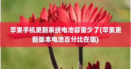 苹果手机更新系统电池容量少了(苹果更新版本电池百分比在哪)