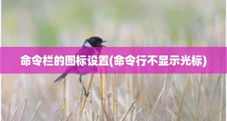 命令栏的图标设置(命令行不显示光标)