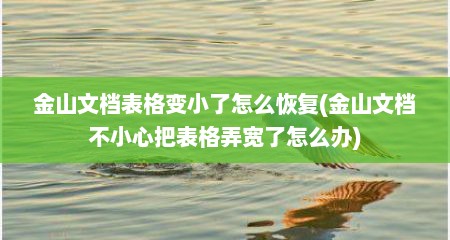 金山文档表格变小了怎么恢复(金山文档不小心把表格弄宽了怎么办)