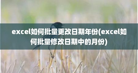 excel如何批量更改日期年份(excel如何批量修改日期中的月份)