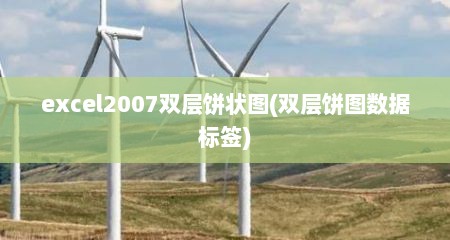excel2007双层饼状图(双层饼图数据标签)