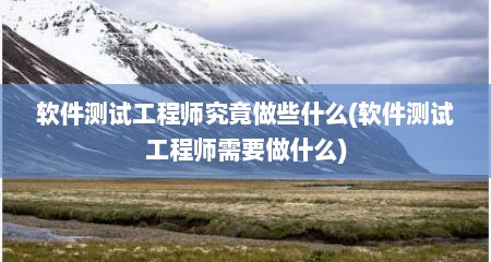 软件测试工程师究竟做些什么(软件测试工程师需要做什么)