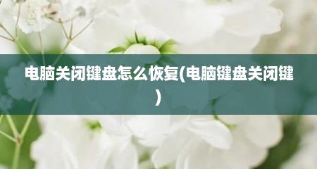 电脑关闭键盘怎么恢复(电脑键盘关闭键)