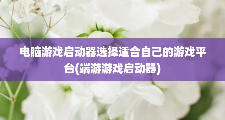电脑游戏启动器选择适合自己的游戏平台(端游游戏启动器)
