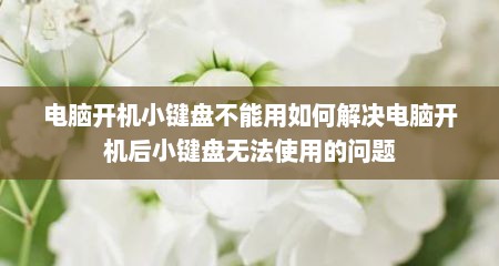 电脑开机小键盘不能用如何解决电脑开机后小键盘无法使用的问题