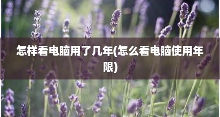 怎样看电脑用了几年(怎么看电脑使用年限)