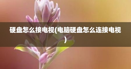 硬盘怎么接电视(电脑硬盘怎么连接电视)