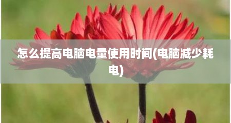 怎么提高电脑电量使用时间(电脑减少耗电)