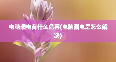 电脑漏电有什么危害(电脑漏电是怎么解决)