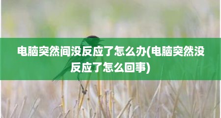 电脑突然间没反应了怎么办(电脑突然没反应了怎么回事)