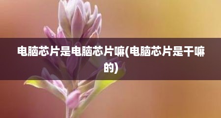 电脑芯片是电脑芯片嘛(电脑芯片是干嘛的)